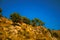 Hilly landscape covered by rocks and trees on sunset