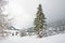 Hilly landscape covered in snow