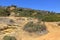 Hilly landscape and green bushes amongst the sandy tracks of Caminho Da Baleeira