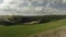 Hilly landscape with green grass and sparse trees. Shot. Top view of beautiful hilly valley with green grass and cloudy