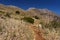 Hilly landscape, Lo Zingaro Nature Reserve in Sicily, Italy