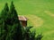 Hilly lawn, old wooden house and thuja