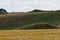 The hilly nature of Eastern Europe. Green mounds with selective focus. Landscape background