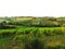 Hilly panorama of the Romagna vineyards