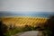 Hilly spring landscape of gardens and endless fields. Moldova.