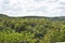 A Hilly View With Forest Trees