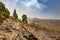 Hilly, volcano Landscape in Teide Nation Park with Pine Trees, Tenerife, Spain