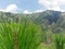 Himachal pardesh in India Green Valley