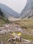 Himachal Pradesh, India - June 8th, 2022 : Landscapes of Hampta Pass Trek, Camping in Mountains