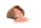 Himalaya pink salt in burlap bag isolated