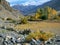 Himalaya. Tibet. Oasis on the mountain plane greenery in Spiti