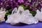 Himalayan Clear Quartz Clusters with Hematite inclusions surrounded by lilac flowers.