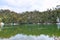 Himalayan Forest with Reflection in Clean Water of Deoria or Deoriya Tal Lake - Winter Landscape, Uttarakhand, India