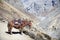 Himalayan horse in Nepal, with a height of over 4000 meters