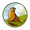 Himalayan marmots or Marmota himalayana The giant squirrel in Himalaya mountain range sticker vector print