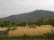 Himalayan mountain steppe terrace farmland n wheat fields