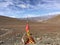 Himalayan Mountains with Mount Everest on Horizon in Spring in Tibet, China.