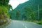 Himalayan Roadways of North Bengal with Green Nature 6
