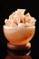 Himalayan salt lamp cosiness and comfort concept