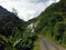 Himalayan Trail with Forests and Banana Trees