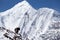 Himalayan yak with snow mountain in background, Annapurna Circuit, Manang, Nepal