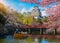 Himeji Castle with beautiful cherry blossom,Himeji Castle is famous cherry blossom viewpoint in Osaka, Japan