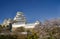 The Himeji castle with blue skies above and cherry blossom trees below, Japan.