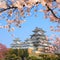 The Himeji Castle, Japan