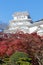 Himeji Castle with red leaves front view