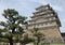 Himeji Castle With Tree