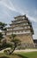 Himeji Castle With Tree, Japan