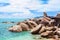 Hin Ta and Hin Yai rocks close up, Grandmother and Grandfather stones on blue sea and sunny cloudy sky background, Samui, Thailand