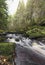 Hindhope Linn waterfall in Northumberland, UK