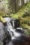 Hindhope Linn waterfall at Rochester, Northumberland, UK