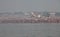 Hindu devotees come to confluence of the Ganges for holy dip during the festival Kumbh Mela