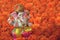 Hindu God Ganesha with marigold flower