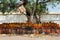 Hindu idols under a tree at Kachabeswarar Temple. Kanchipuram, India