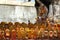 Hindu idols under a tree at Kachabeswarar Temple. Kanchipuram, India