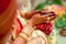 Hindu or Indian Wedding Ceremony Rituals and Traditions Assamese Wedding