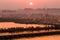 Hindu pilgrims crossing pontoon bridges into the Kumbha Mela campsite, India.