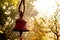 Hindu prayer bells in remote temple in forest