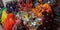 hindu religious women worshipping during traditional festival seating together on circle