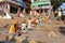 Hindu Sadhu Begging on Ghats