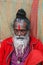 Hindu Sadhu in India