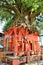 Hindu Tree shrine in Kathmandu, Nepal