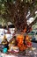 Hindu Tree Shrine at Rishikesh Ghats