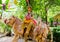 Hinduism sculptures about the giant stay on a tiger statue at wat Rai-Khing Temple.