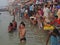 Hindus perform ritual puja at dawn in the Ganges