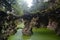 Hinged bridge over a picturesque pond in the rocks overgrown with silt