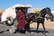 Hinny Cart in Morocco, dark brown packhorse